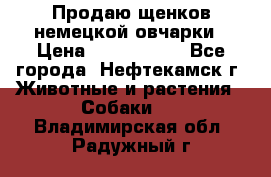 Продаю щенков немецкой овчарки › Цена ­ 5000-6000 - Все города, Нефтекамск г. Животные и растения » Собаки   . Владимирская обл.,Радужный г.